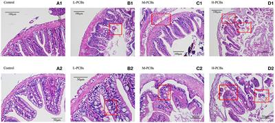 Effects of Aroclor 1254 on Intestinal Immunity, Metabolism, and Microflora in Zebrafish